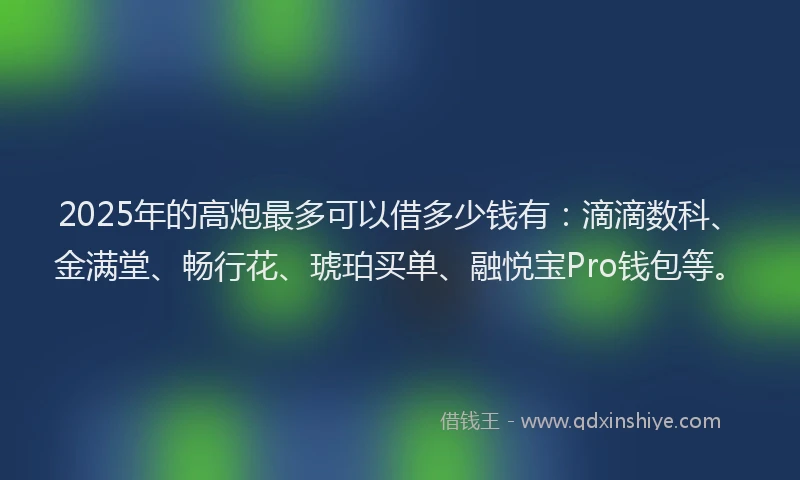 2025年的高炮最多可以借多少钱有:滴滴数科、金满堂、畅行花、琥珀买单、融悦宝Pro钱包等。