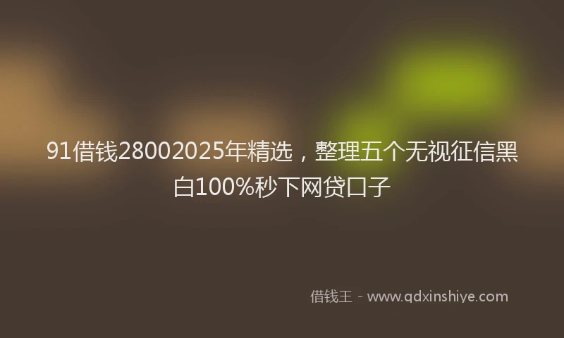 91借钱28002025年精选，整理五个无视征信黑白100%秒下网贷口子
