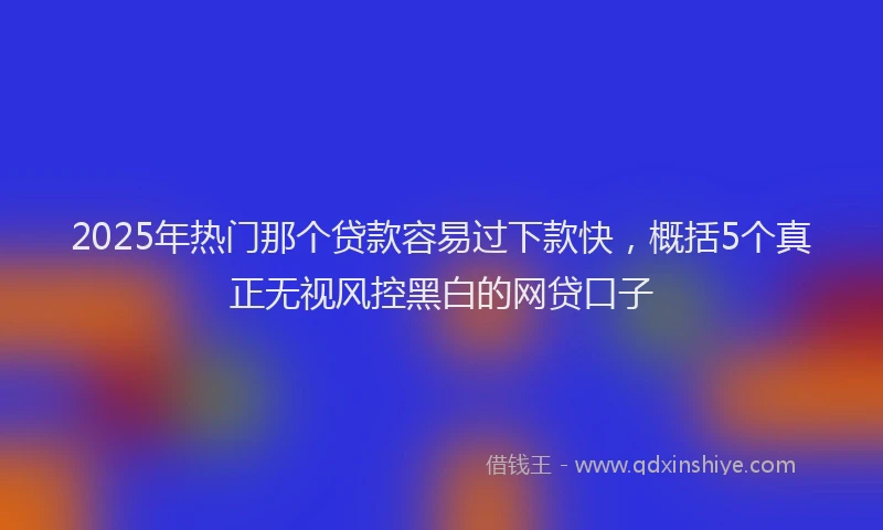 2025年热门那个贷款容易过下款快，概括5个真正无视风控黑白的网贷口子