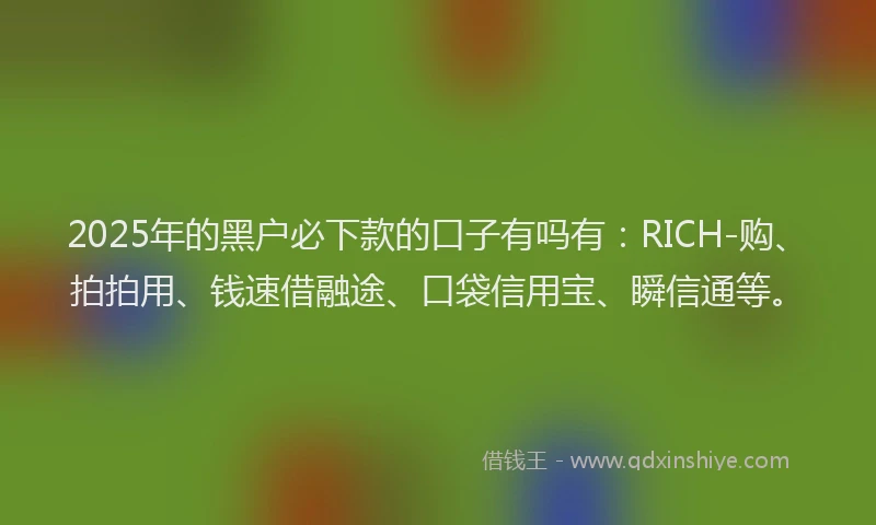2025年的黑户必下款的口子有吗有：RICH-购、拍拍用、钱速借融途、口袋信用宝、瞬信通等。