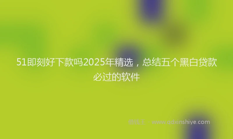 51即刻好下款吗2025年精选，总结五个黑白贷款必过的软件