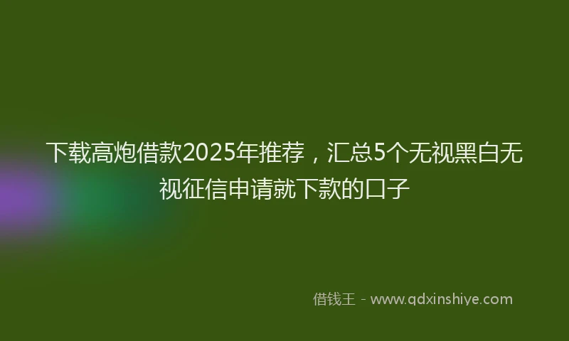 下载高炮借款2025年推荐，汇总5个无视黑白无视征信申请就下款的口子
