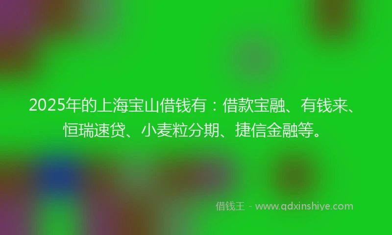 2025年的上海宝山借钱有：借款宝融、有钱来、恒瑞速贷、小麦粒分期、捷信金融等。