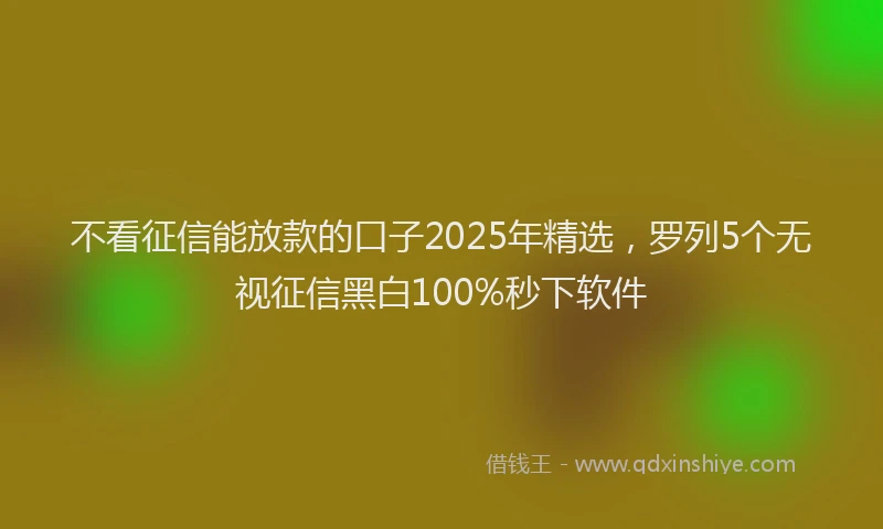 不看征信能放款的口子2025年精选，罗列5个无视征信黑白100%秒下软件