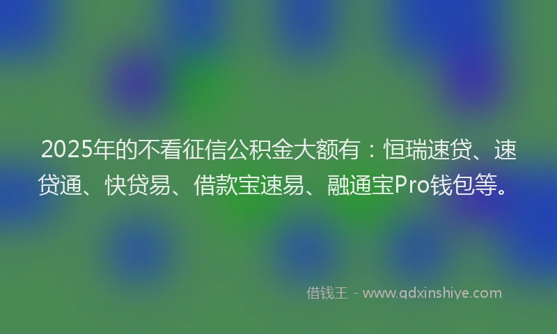 2025年的不看征信公积金大额有：恒瑞速贷、速贷通、快贷易、借款宝速易、融通宝Pro钱包等。