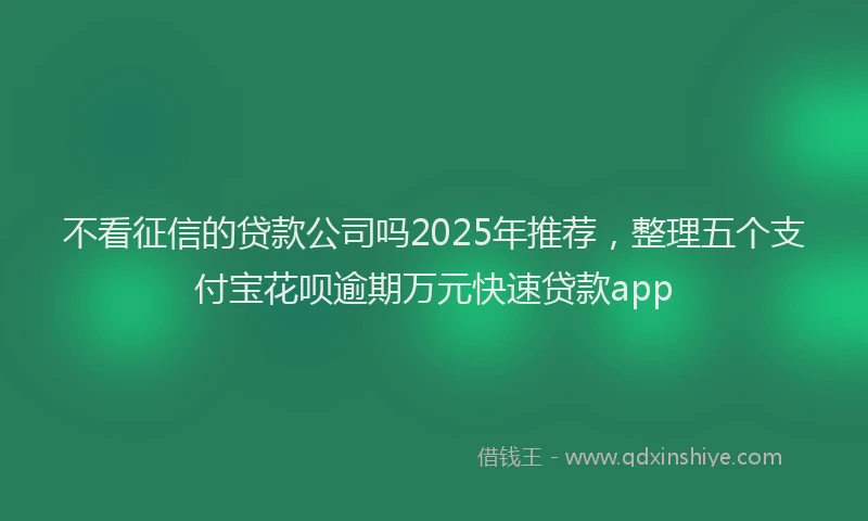 不看征信的贷款公司吗2025年推荐，整理五个支付宝花呗逾期万元快速贷款app