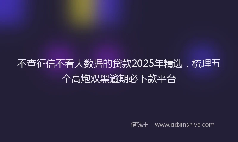 不查征信不看大数据的贷款2025年精选，梳理五个高炮双黑逾期必下款平台