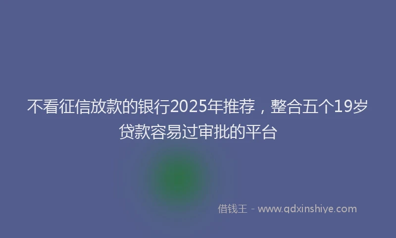 不看征信放款的银行2025年推荐，整合五个19岁贷款容易过审批的平台