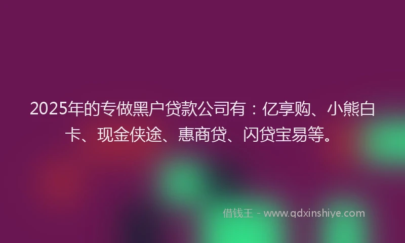 2025年的专做黑户贷款公司有：亿享购、小熊白卡、现金侠途、惠商贷、闪贷宝易等。