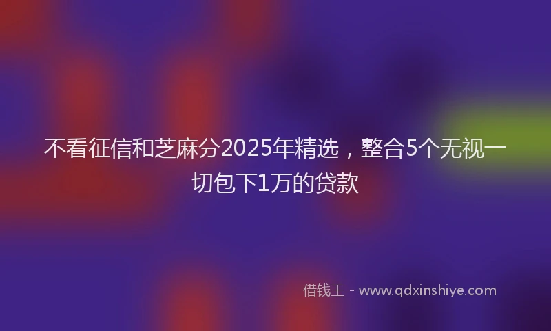 不看征信和芝麻分2025年精选，整合5个无视一切包下1万的贷款