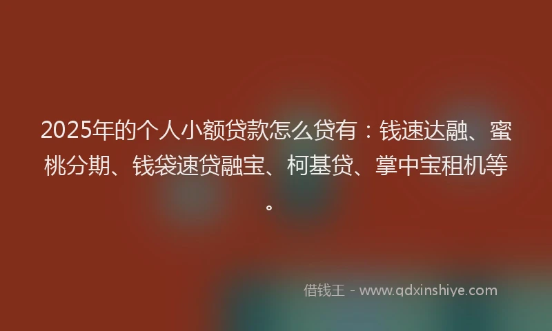 2025年的个人小额贷款怎么贷有：钱速达融、蜜桃分期、钱袋速贷融宝、柯基贷、掌中宝租机等。