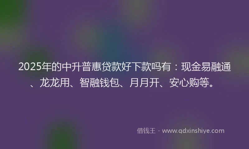 2025年的中升普惠贷款好下款吗有：现金易融通、龙龙用、智融钱包、月月开、安心购等。