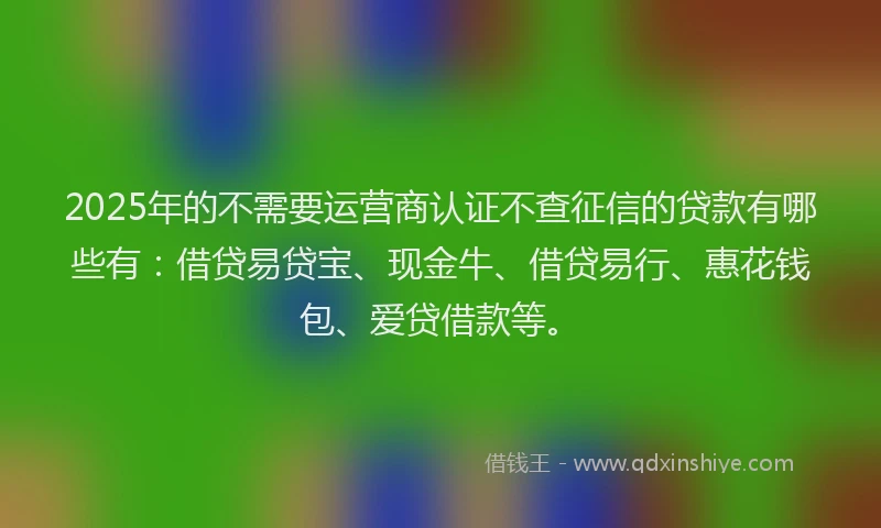 2025年的不需要运营商认证不查征信的贷款有哪些有：借贷易贷宝、现金牛、借贷易行、惠花钱包、爱贷借款等。