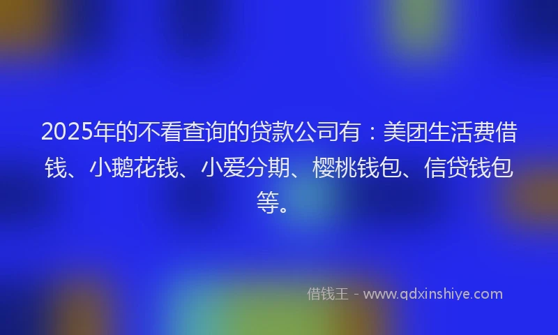 2025年的不看查询的贷款公司有：美团生活费借钱、小鹅花钱、小爱分期、樱桃钱包、信贷钱包等。