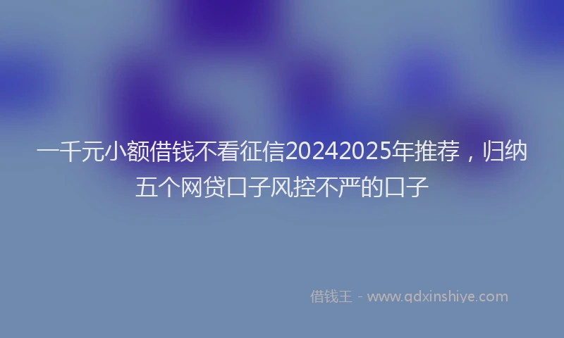 一千元小额借钱不看征信20242025年推荐，归纳五个网贷口子风控不严的口子