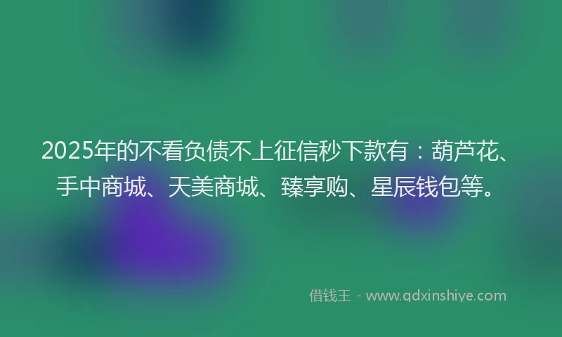 2025年的不看负债不上征信秒下款有：葫芦花、手中商城、天美商城、臻享购、星辰钱包等。