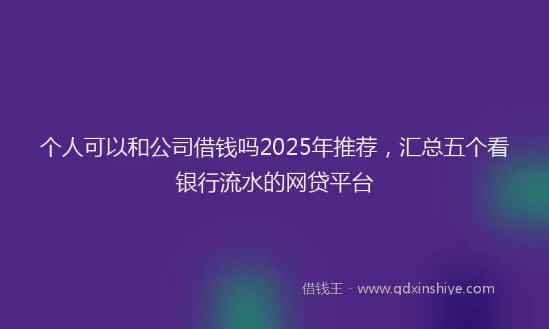 个人可以和公司借钱吗2025年推荐，汇总五个看银行流水的网贷平台