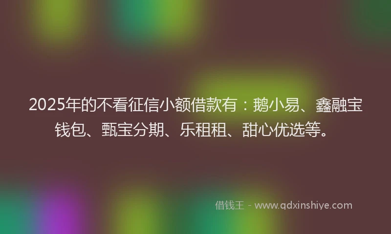 2025年的不看征信小额借款有：鹅小易、鑫融宝钱包、甄宝分期、乐租租、甜心优选等。
