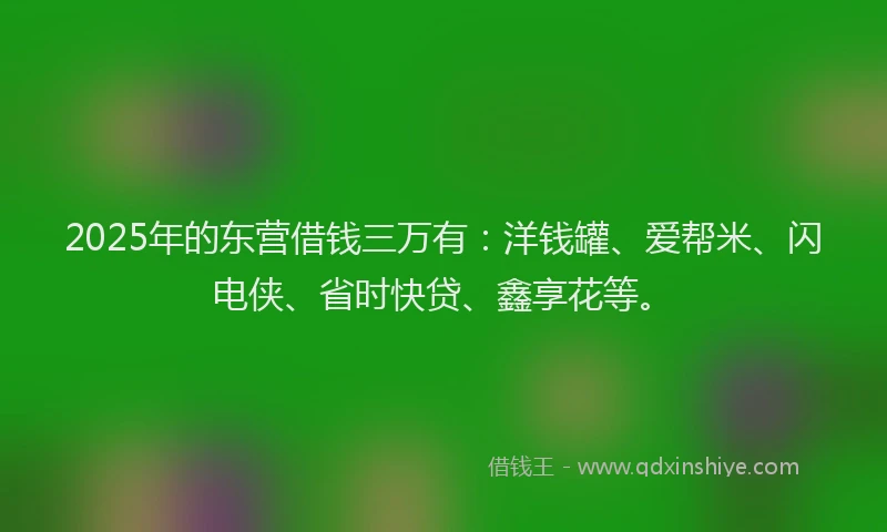 2025年的东营借钱三万有：洋钱罐、爱帮米、闪电侠、省时快贷、鑫享花等。