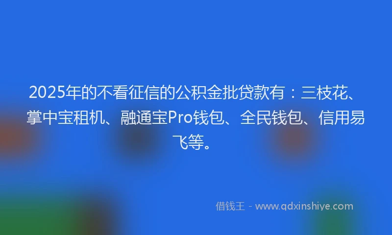2025年的不看征信的公积金批贷款有：三枝花、掌中宝租机、融通宝Pro钱包、全民钱包、信用易飞等。