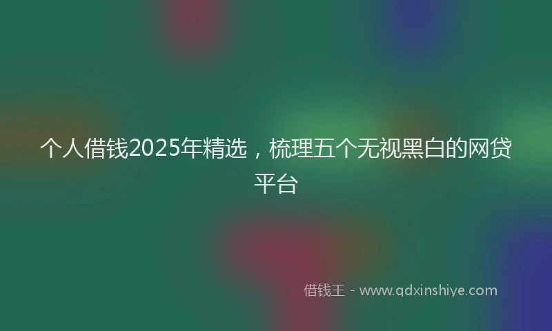 个人借钱2025年精选，梳理五个无视黑白的网贷平台