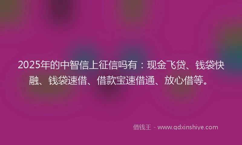 2025年的中智信上征信吗有：现金飞贷、钱袋快融、钱袋速借、借款宝速借通、放心借等。
