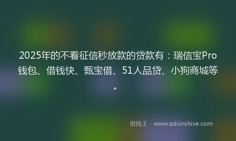 2025年的不看征信秒放款的贷款有：瑞信宝Pro钱包、借钱快、甄宝借、51人品贷、小狗商城等。