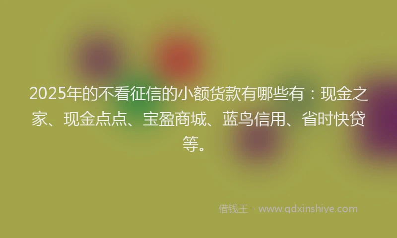 2025年的不看征信的小额货款有哪些有：现金之家、现金点点、宝盈商城、蓝鸟信用、省时快贷等。