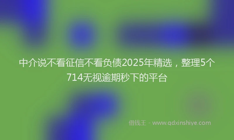 中介说不看征信不看负债2025年精选，整理5个714无视逾期秒下的平台