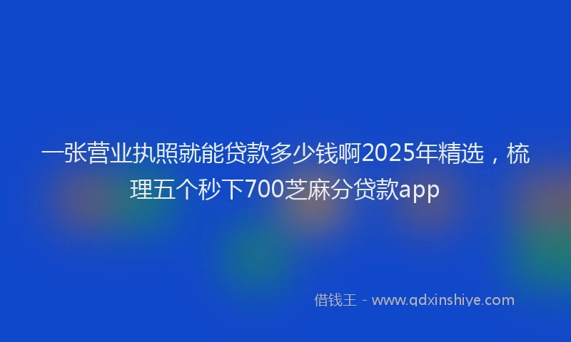 一张营业执照就能贷款多少钱啊2025年精选，梳理五个秒下700芝麻分贷款app