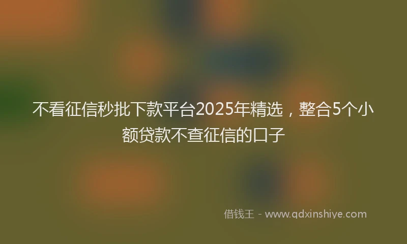 不看征信秒批下款平台2025年精选，整合5个小额贷款不查征信的口子