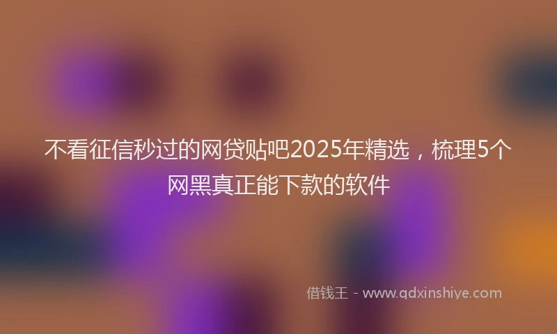 不看征信秒过的网贷贴吧2025年精选，梳理5个网黑真正能下款的软件