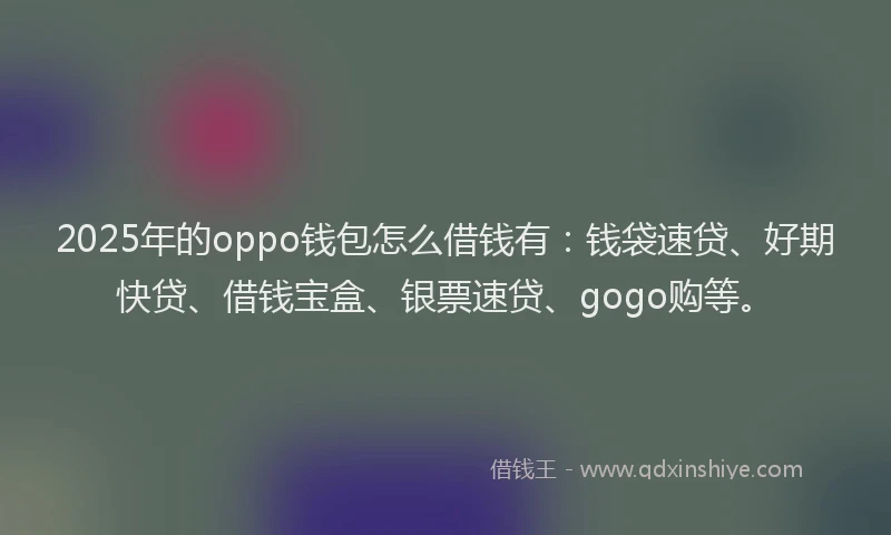 2025年的oppo钱包怎么借钱有：钱袋速贷、好期快贷、借钱宝盒、银票速贷、gogo购等。