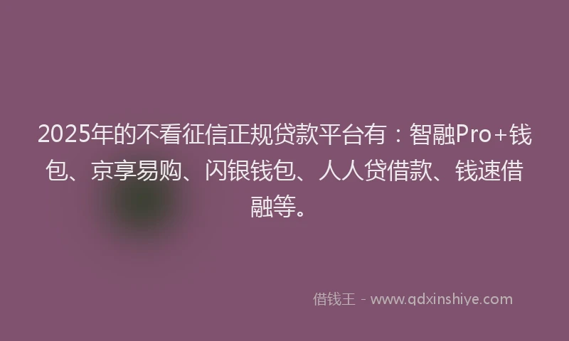 2025年的不看征信正规贷款平台有：智融Pro+钱包、京享易购、闪银钱包、人人贷借款、钱速借融等。