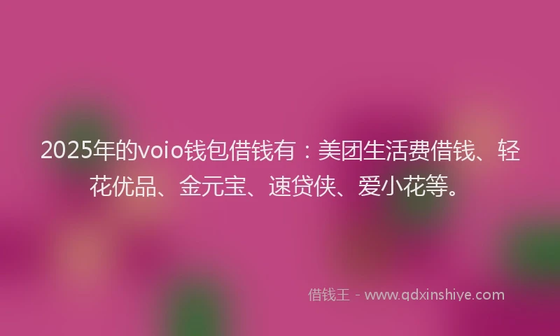 2025年的voio钱包借钱有：美团生活费借钱、轻花优品、金元宝、速贷侠、爱小花等。