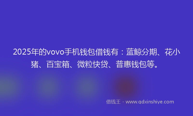 2025年的vovo手机钱包借钱有：蓝鲸分期、花小猪、百宝箱、微粒快贷、普惠钱包等。
