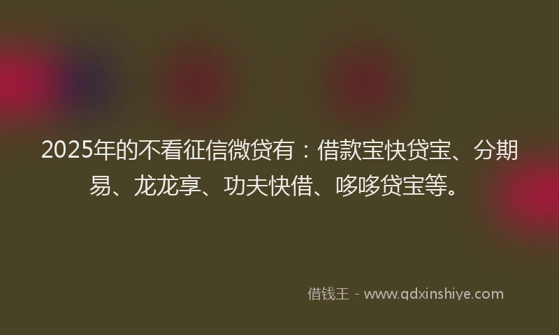 2025年的不看征信微贷有：借款宝快贷宝、分期易、龙龙享、功夫快借、哆哆贷宝等。