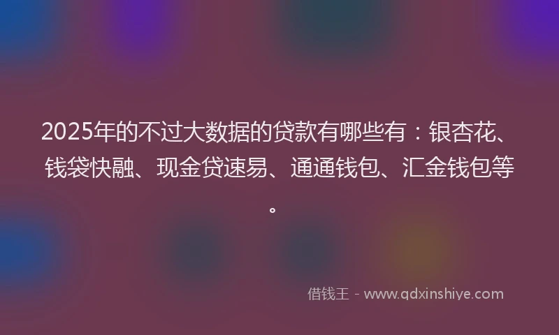 2025年的不过大数据的贷款有哪些有：银杏花、钱袋快融、现金贷速易、通通钱包、汇金钱包等。