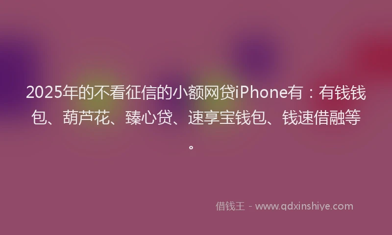 2025年的不看征信的小额网贷iPhone有：有钱钱包、葫芦花、臻心贷、速享宝钱包、钱速借融等。