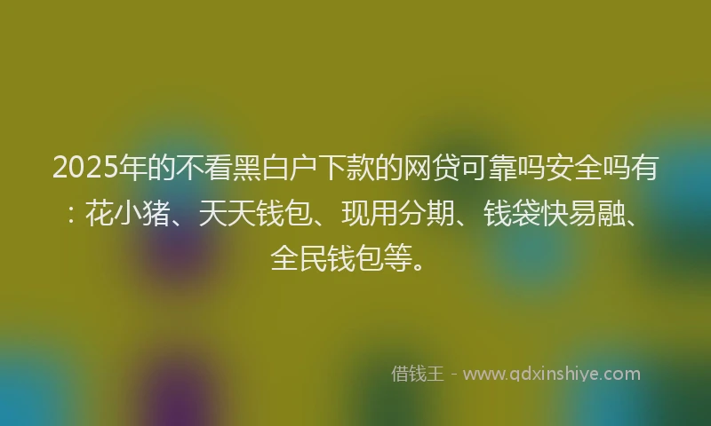 2025年的不看黑白户下款的网贷可靠吗安全吗有：花小猪、天天钱包、现用分期、钱袋快易融、全民钱包等。