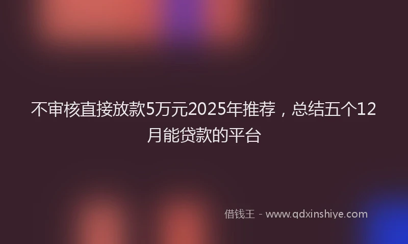不审核直接放款5万元2025年推荐，总结五个12月能贷款的平台