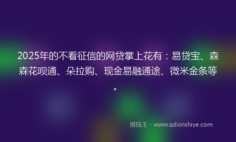 2025年的不看征信的网贷掌上花有：易贷宝、森森花呗通、朵拉购、现金易融通途、微米金条等。