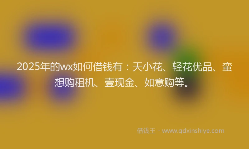 2025年的wx如何借钱有：天小花、轻花优品、蛮想购租机、壹现金、如意购等。