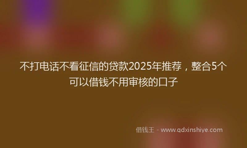 不打电话不看征信的贷款2025年推荐，整合5个可以借钱不用审核的口子