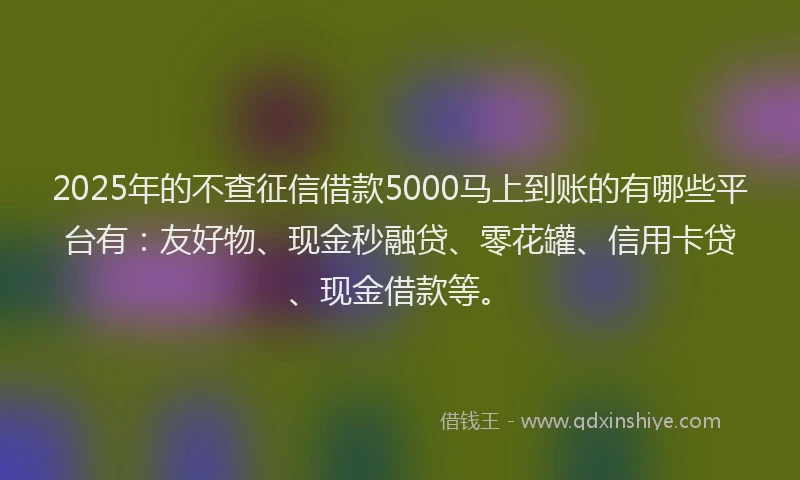 2025年的不查征信借款5000马上到账的有哪些平台有：友好物、现金秒融贷、零花罐、信用卡贷、现金借款等。