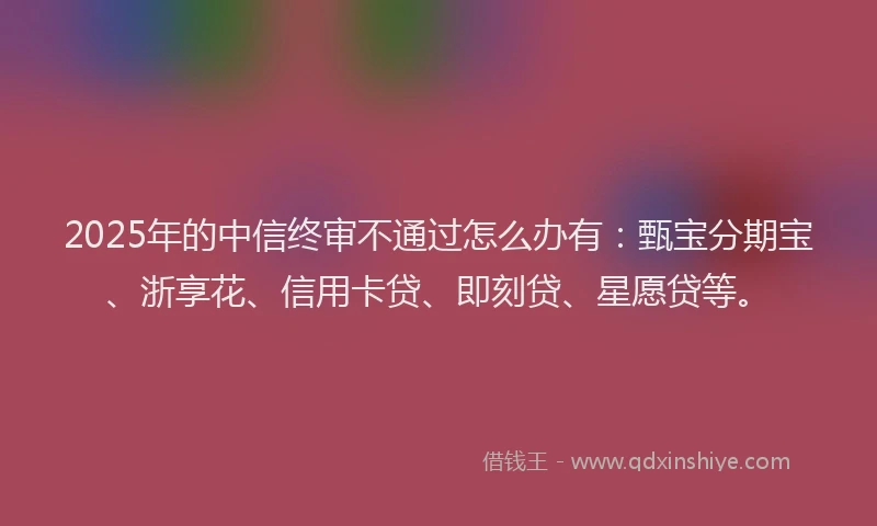 2025年的中信终审不通过怎么办有：甄宝分期宝、浙享花、信用卡贷、即刻贷、星愿贷等。