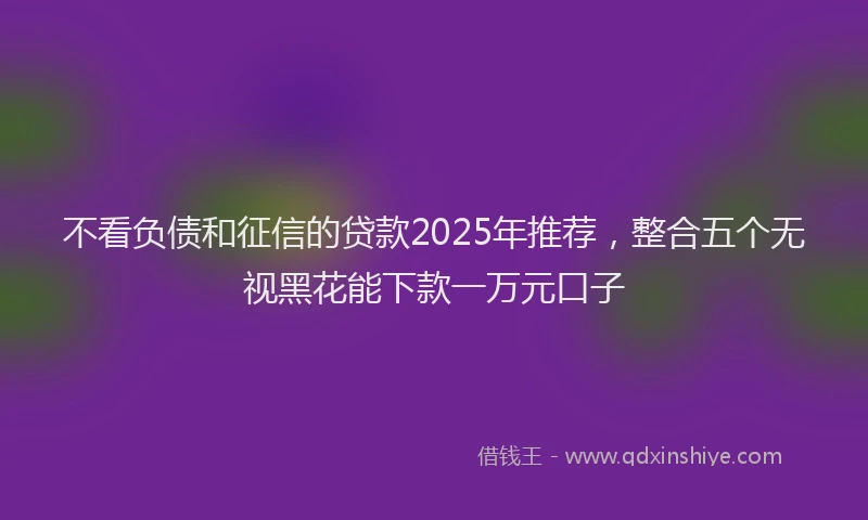 不看负债和征信的贷款2025年推荐，整合五个无视黑花能下款一万元口子