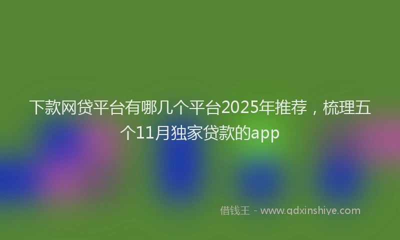 下款网贷平台有哪几个平台2025年推荐，梳理五个11月独家贷款的app