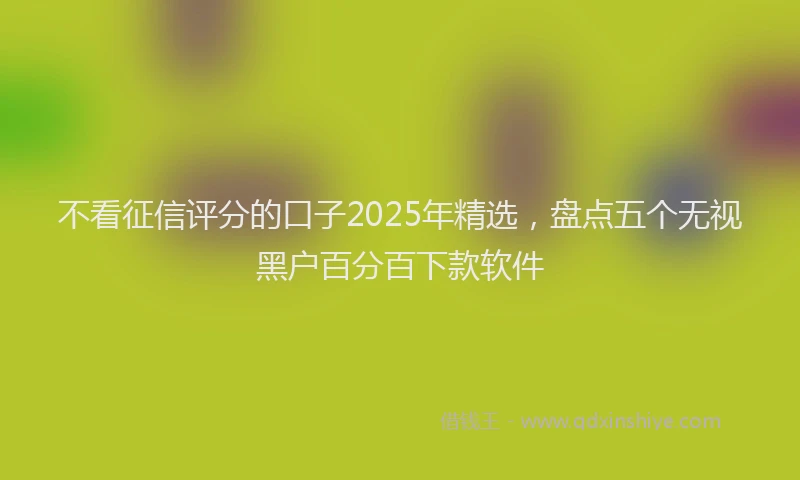 不看征信评分的口子2025年精选，盘点五个无视黑户百分百下款软件