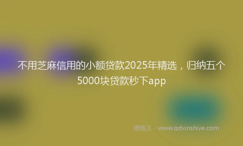 不用芝麻信用的小额贷款2025年精选，归纳五个5000块贷款秒下app